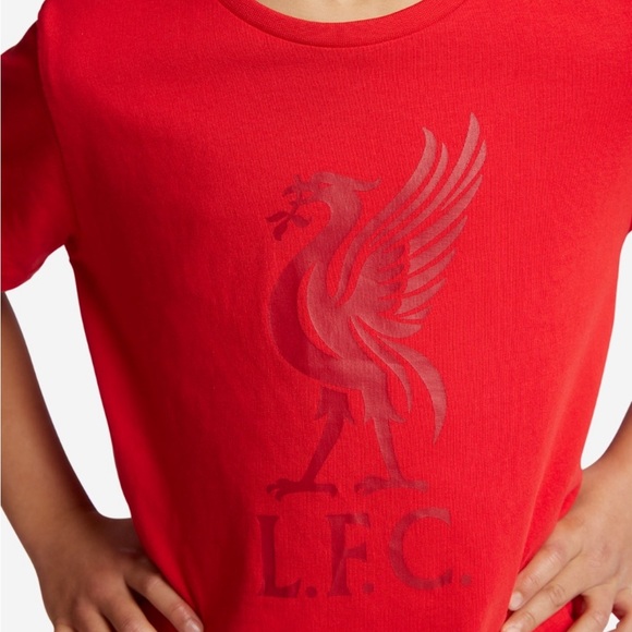 Official LFC Liverbird T-shirt - Sz 7-8 - Picture 5 of 5